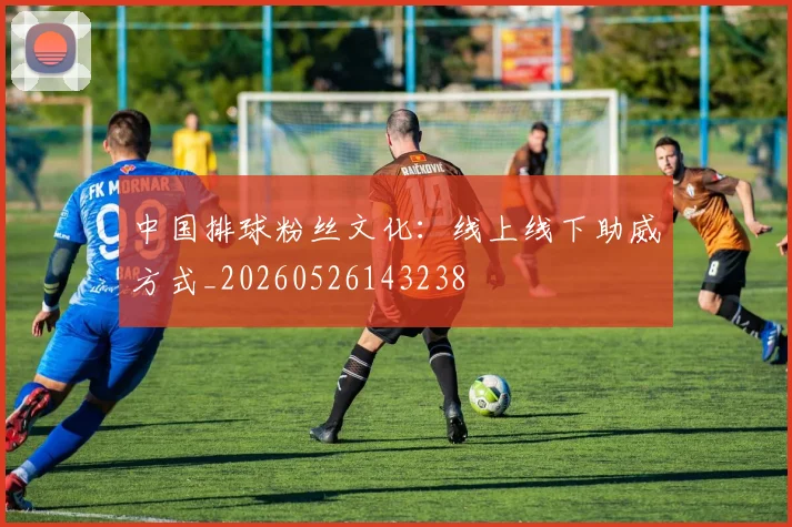 中国排球粉丝文化：线上线下助威方式_20260526143238